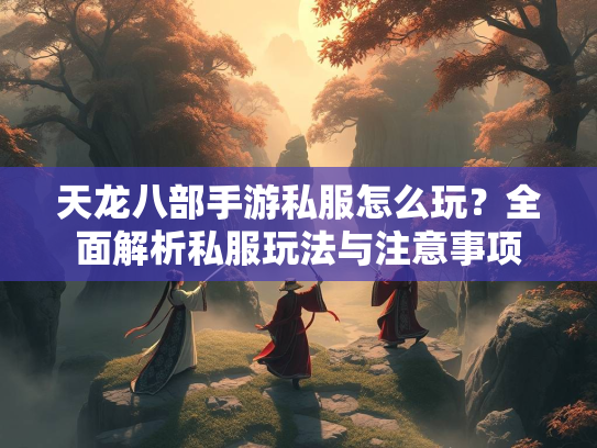 天龙八部手游私服怎么玩？全面解析私服玩法与注意事项  第2张