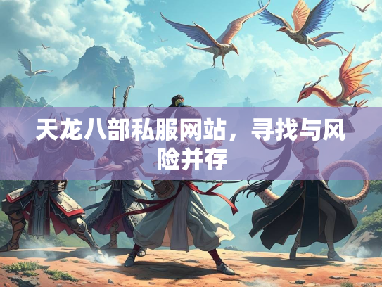 天龙八部私服网站，寻找与风险并存  第1张