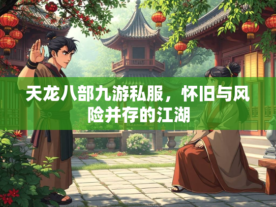 天龙八部九游私服，怀旧与风险并存的江湖  第2张