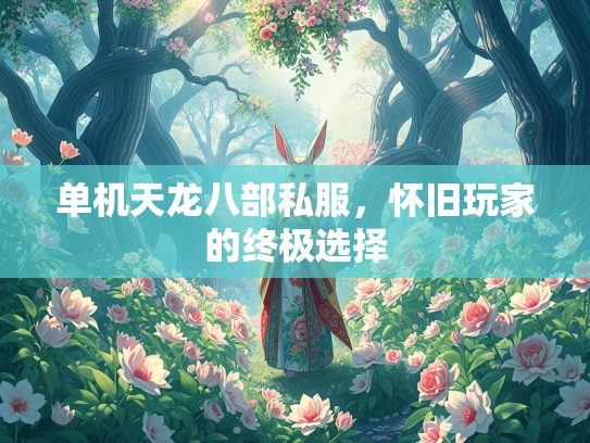 单机天龙八部私服，怀旧玩家的终极选择  第2张