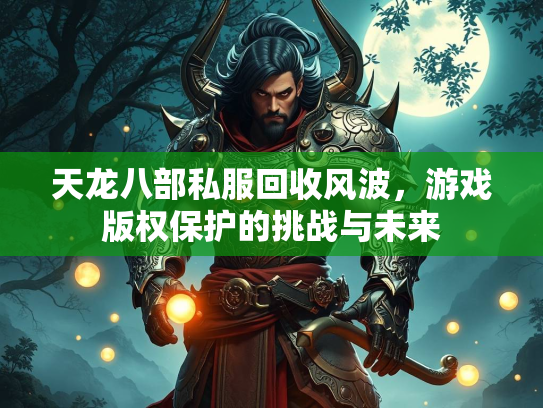 天龙八部私服回收风波，游戏版权保护的挑战与未来  第2张