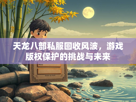 天龙八部私服回收风波，游戏版权保护的挑战与未来  第1张