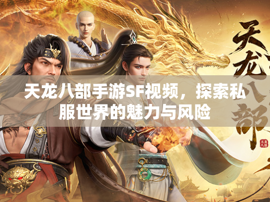 天龙八部手游SF视频，探索私服世界的魅力与风险  第2张