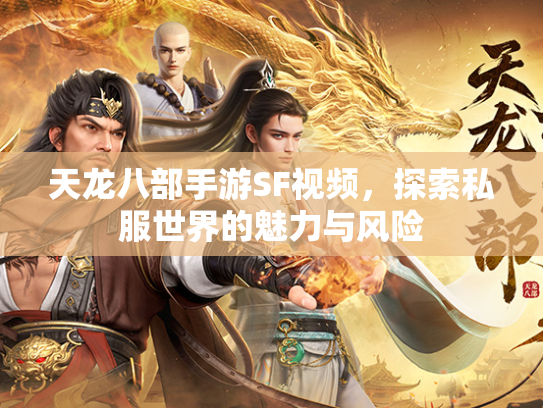 天龙八部手游SF视频，探索私服世界的魅力与风险  第1张