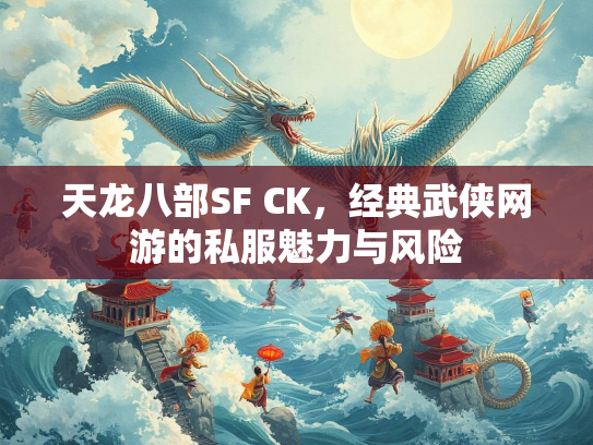 天龙八部SF CK，经典武侠网游的私服魅力与风险  第2张