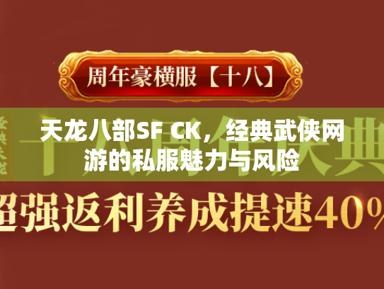 天龙八部SF CK，经典武侠网游的私服魅力与风险  第3张