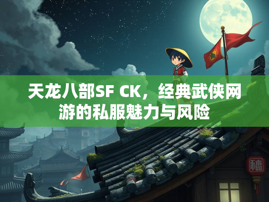天龙八部SF CK，经典武侠网游的私服魅力与风险  第1张