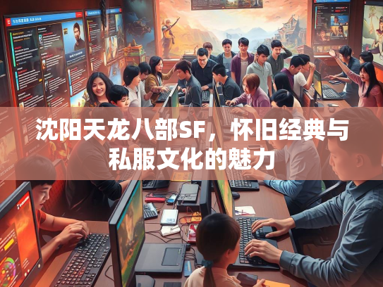 沈阳天龙八部SF，怀旧经典与私服文化的魅力  第2张