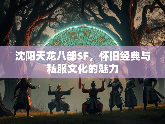 沈阳天龙八部SF，怀旧经典与私服文化的魅力  第3张