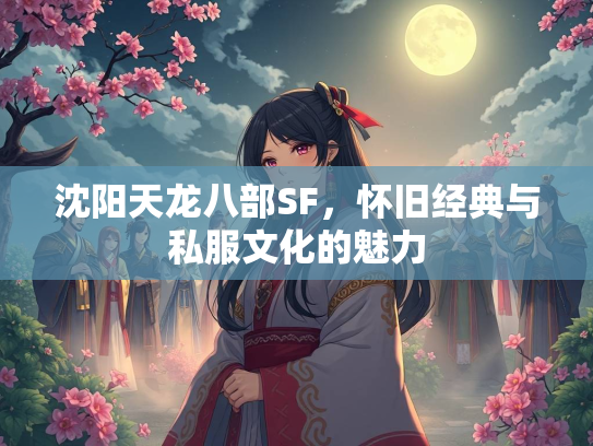 沈阳天龙八部SF，怀旧经典与私服文化的魅力  第1张