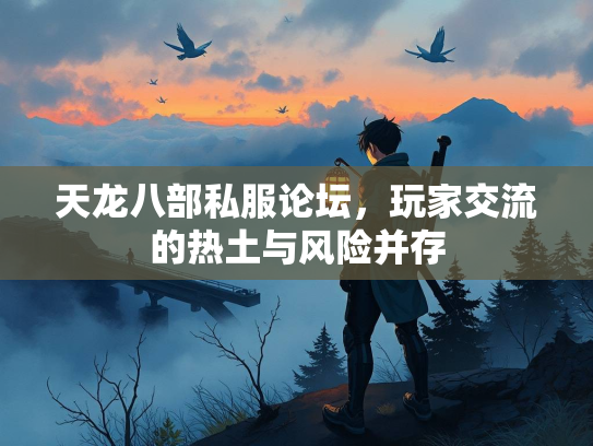 天龙八部私服论坛，玩家交流的热土与风险并存  第3张