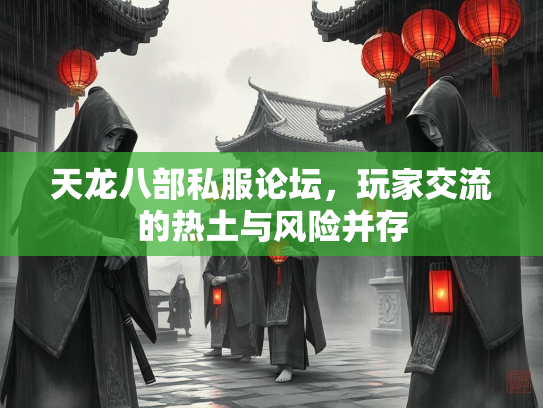 天龙八部私服论坛，玩家交流的热土与风险并存  第1张