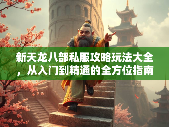 新天龙八部私服攻略玩法大全，从入门到精通的全方位指南  第2张