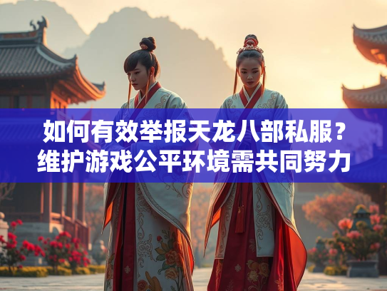 如何有效举报天龙八部私服？维护游戏公平环境需共同努力  第2张