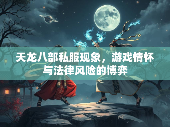 天龙八部私服现象，游戏情怀与法律风险的博弈  第1张