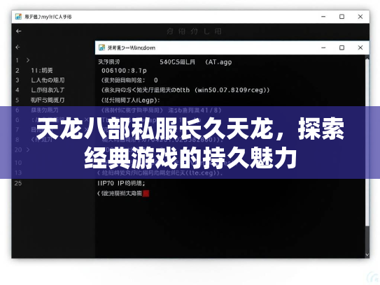天龙八部私服长久天龙，探索经典游戏的持久魅力  第1张