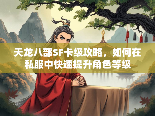 天龙八部SF卡级攻略，如何在私服中快速提升角色等级  第2张