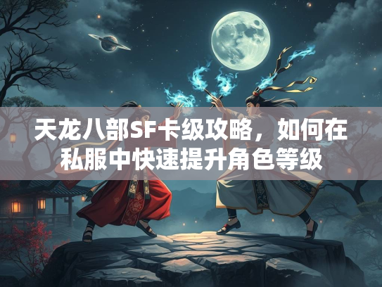天龙八部SF卡级攻略，如何在私服中快速提升角色等级  第1张