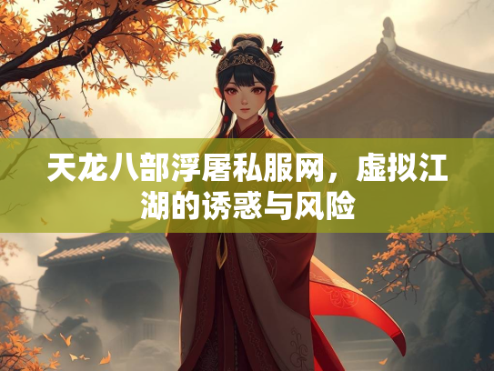 天龙八部浮屠私服网，虚拟江湖的诱惑与风险  第1张