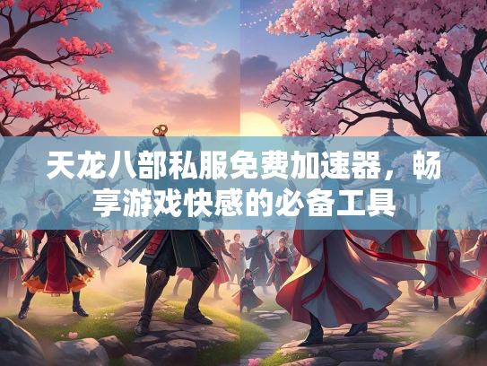 天龙八部私服免费加速器，畅享游戏快感的必备工具  第2张