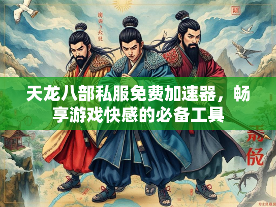 天龙八部私服免费加速器，畅享游戏快感的必备工具  第3张