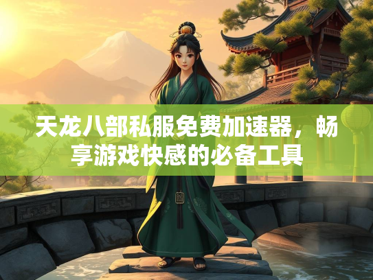 天龙八部私服免费加速器，畅享游戏快感的必备工具  第1张