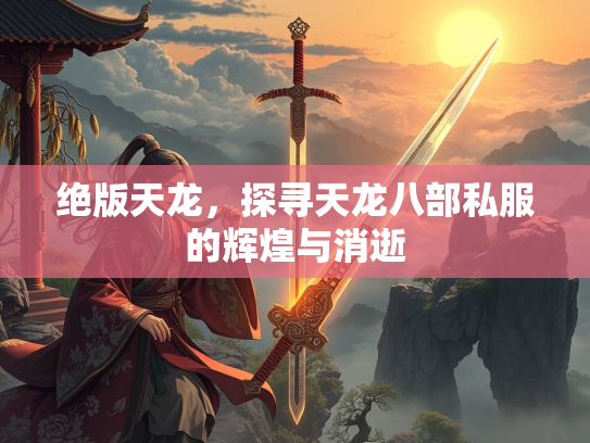 绝版天龙，探寻天龙八部私服的辉煌与消逝  第3张
