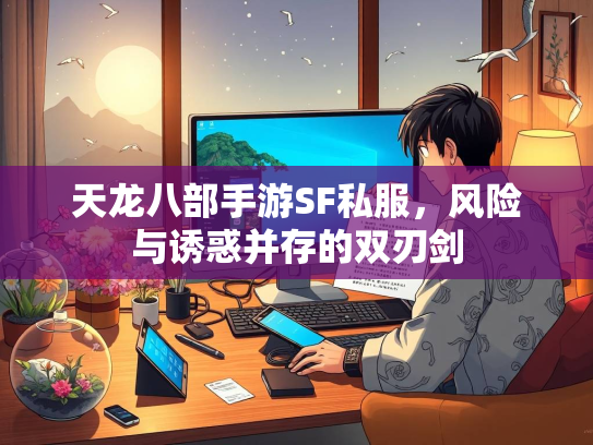 天龙八部手游SF私服，风险与诱惑并存的双刃剑  第2张