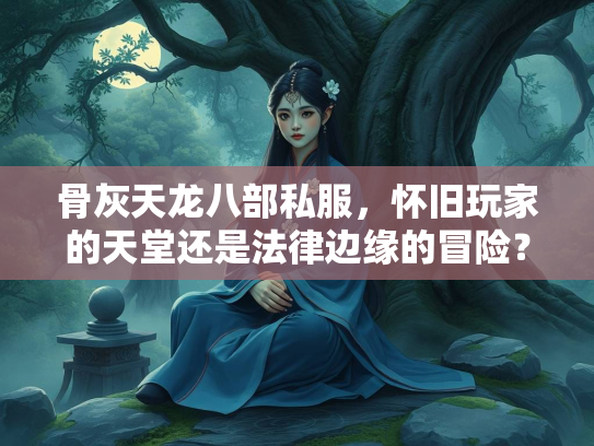 骨灰天龙八部私服，怀旧玩家的天堂还是法律边缘的冒险？  第3张