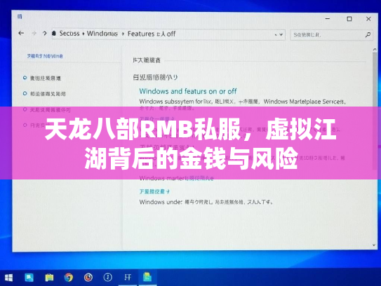 天龙八部RMB私服，虚拟江湖背后的金钱与风险  第3张