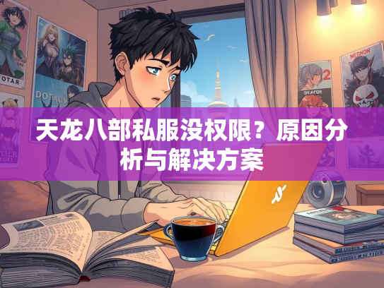 天龙八部私服没权限？原因分析与解决方案  第2张
