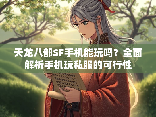 天龙八部SF手机能玩吗？全面解析手机玩私服的可行性  第2张