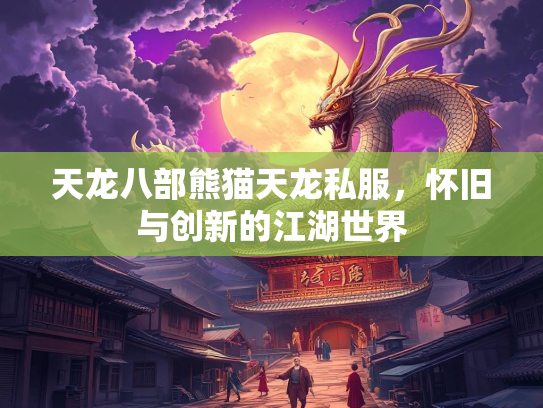 天龙八部熊猫天龙私服，怀旧与创新的江湖世界  第3张