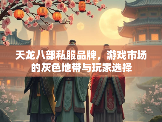 天龙八部私服品牌，游戏市场的灰色地带与玩家选择  第2张