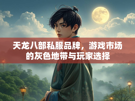 天龙八部私服品牌，游戏市场的灰色地带与玩家选择  第3张