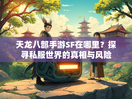 天龙八部手游SF在哪里？探寻私服世界的真相与风险  第2张
