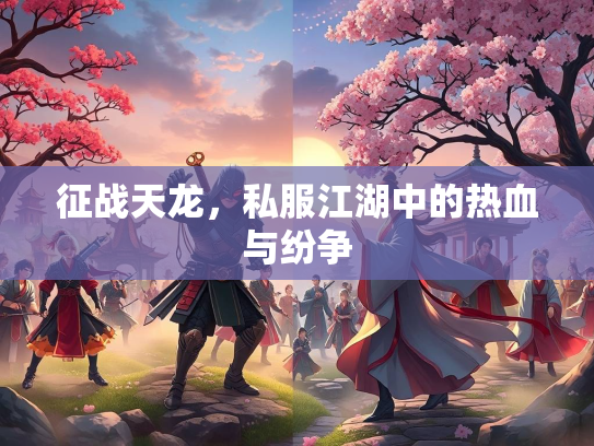 征战天龙，私服江湖中的热血与纷争  第3张