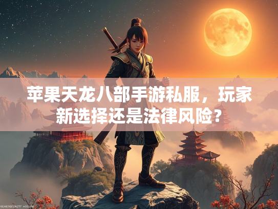 苹果天龙八部手游私服，玩家新选择还是法律风险？  第2张