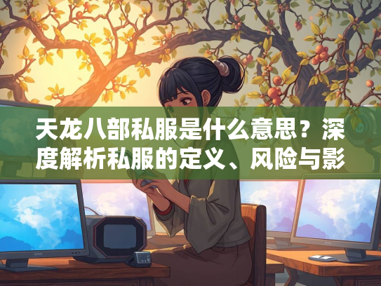 天龙八部私服是什么意思？深度解析私服的定义、风险与影响  第2张