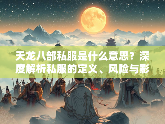 天龙八部私服是什么意思？深度解析私服的定义、风险与影响  第3张