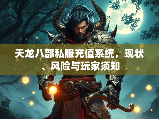 天龙八部私服充值系统，现状、风险与玩家须知  第1张