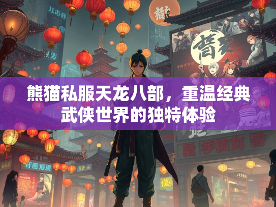 熊猫私服天龙八部，重温经典武侠世界的独特体验  第2张