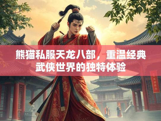 熊猫私服天龙八部，重温经典武侠世界的独特体验  第3张