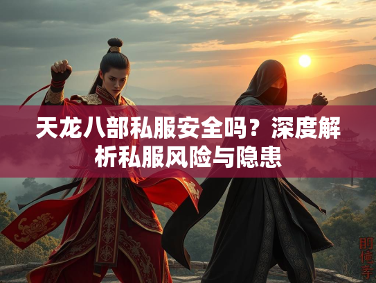 天龙八部私服安全吗？深度解析私服风险与隐患  第2张