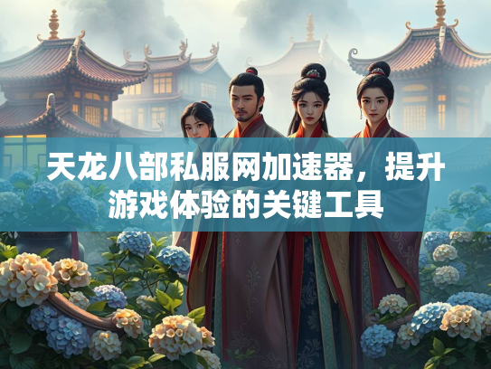 天龙八部私服网加速器，提升游戏体验的关键工具  第3张