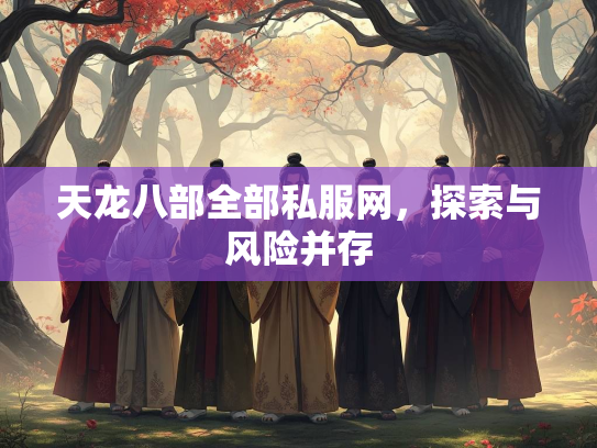 天龙八部全部私服网，探索与风险并存  第2张
