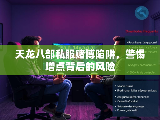 天龙八部私服赌博陷阱，警惕增点背后的风险  第1张