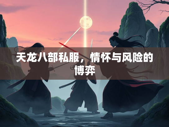 天龙八部私服，情怀与风险的博弈  第3张