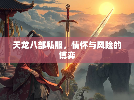 天龙八部私服，情怀与风险的博弈  第1张
