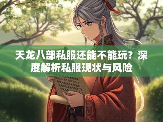 天龙八部私服还能不能玩？深度解析私服现状与风险  第1张